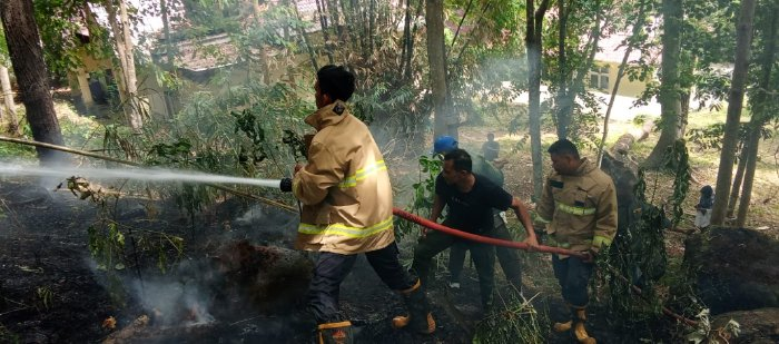 BPBD Aceh Besar Bergerak Cepat, Padamkan Kebakaran Lahan Pinus di Saree