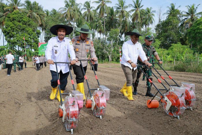 Wakil Bupati Aceh Besar Ikuti Penanaman Jagung Serentak Kuartal III Bersama Kapolresta Banda Aceh