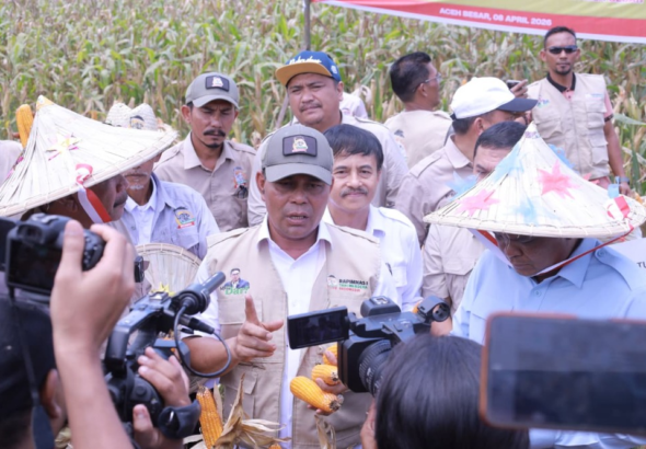 Bupati Syech Muharram Bersama Ketum Tani Merdeka Don Muzakir Panen Raya Jagung di Aceh Besar