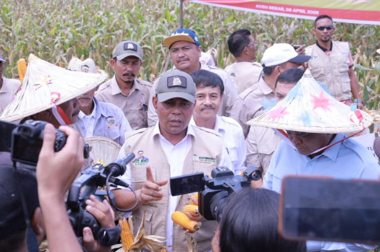 Bupati Syech Muharram Bersama Ketum Tani Merdeka Don Muzakir Panen Raya Jagung di Aceh Besar