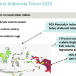 80% Daerah Bebas Malaria, Indonesia Kejar Eliminasi Malaria pada 2030