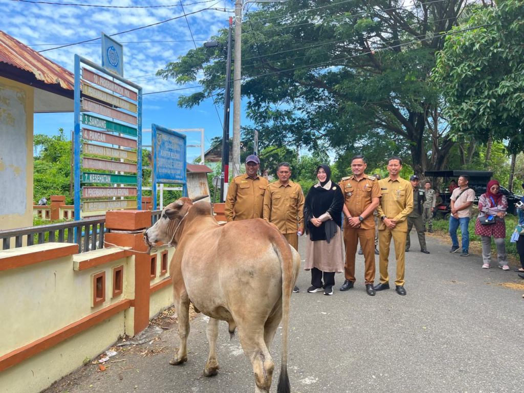 Pemko Banda Aceh Distribusikan Hewan Kurban ke Sejumlah Gampong