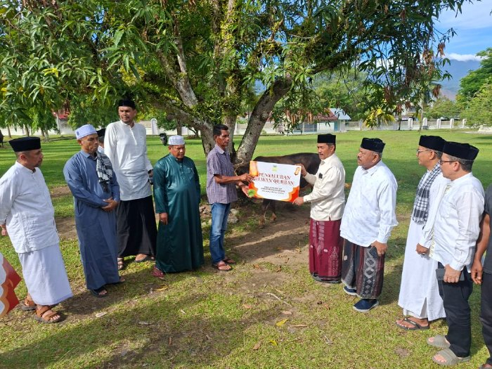 Wakil Bupati Salurkan Hewan Qurban Pemkab Aceh Besar untuk Masyarakat