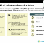 Kemenkes Perkuat Perlindungan Kelompok Rentan Hadapi Karhutla