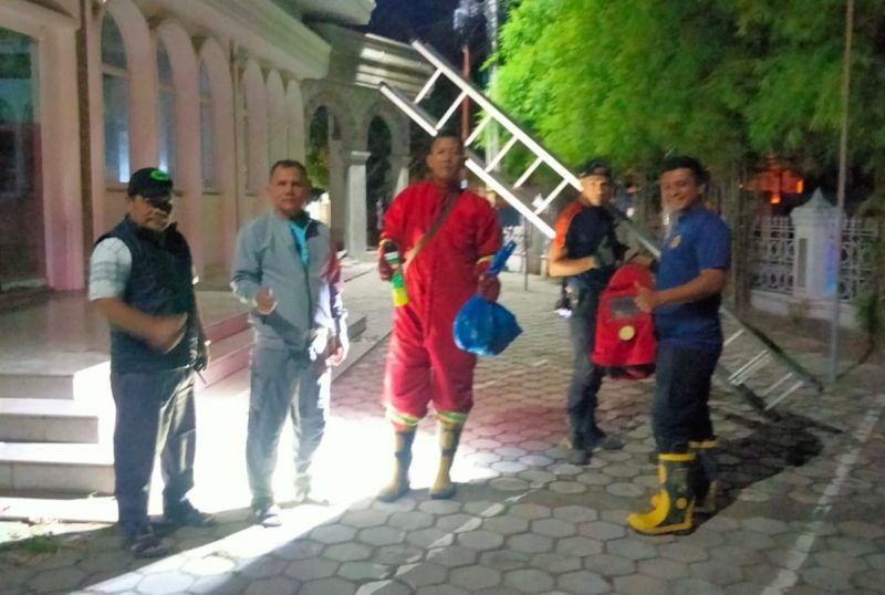 Tim Damkar Banda Aceh Evakuasi Sarang Tawon di Cot Mesjid